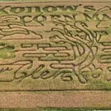 Konow's Corn Maze photo