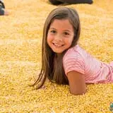 Konow's Corn Maze photo