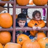 Konow's Corn Maze photo