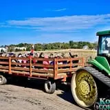 Konow's Corn Maze photo