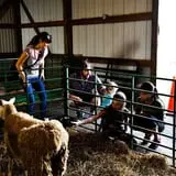 Konow's Corn Maze photo