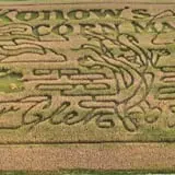 Konow's Corn Maze photo