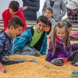 Konow's Corn Maze photo