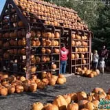 Konow's Corn Maze photo