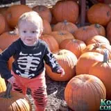 Konow's Corn Maze photo