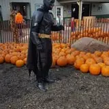 Konow's Corn Maze photo