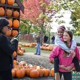 Konow's Corn Maze photo