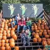 Konow's Corn Maze photo