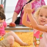 Konow's Corn Maze photo