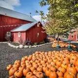 Konow's Corn Maze photo