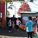 Konow's Corn Maze photo