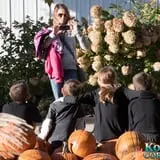 Konow's Corn Maze photo