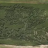 Konow's Corn Maze photo