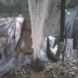 Spooktrail photo