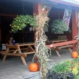 Carver Hill Orchards photo