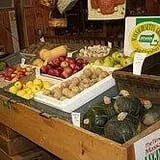 Carver Hill Orchards photo