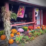 Carver Hill Orchards photo