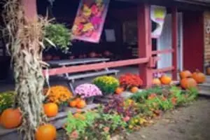 Carver Hill Orchards