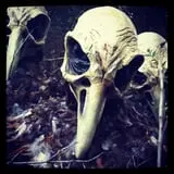The Lost Hollows photo