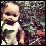 The Lost Hollows photo