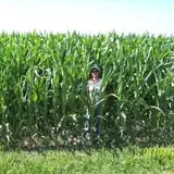 The Haunted Corn Maze at Country Dreams Farm photo