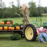 The Haunted Corn Maze at Country Dreams Farm photo