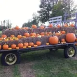 The Haunted Corn Maze at Country Dreams Farm photo