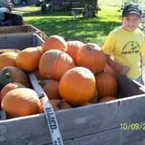The Haunted Corn Maze at Country Dreams Farm photo