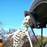 The Haunted Corn Maze at Country Dreams Farm photo