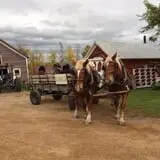 The Haunted Corn Maze at Country Dreams Farm photo
