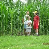 The Haunted Corn Maze at Country Dreams Farm photo