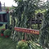 The Haunted Corn Maze at Country Dreams Farm photo
