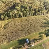 The Haunted Corn Maze at Country Dreams Farm photo