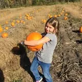 The Haunted Corn Maze at Country Dreams Farm photo