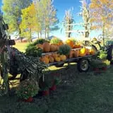 The Haunted Corn Maze at Country Dreams Farm photo