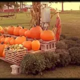 The Haunted Corn Maze at Country Dreams Farm photo