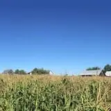 The Haunted Corn Maze at Country Dreams Farm photo