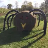 The Haunted Corn Maze at Country Dreams Farm photo