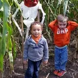 The Haunted Corn Maze at Country Dreams Farm photo