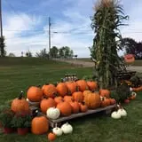The Haunted Corn Maze at Country Dreams Farm photo