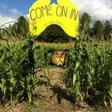 The Haunted Corn Maze at Country Dreams Farm photo