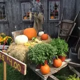 The Haunted Corn Maze at Country Dreams Farm photo