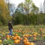The Haunted Corn Maze at Country Dreams Farm photo