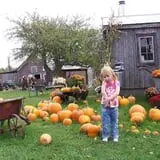 The Haunted Corn Maze at Country Dreams Farm photo