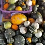 Shelley's Fresh Produce & Cut Flowers photo