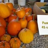Shelley's Fresh Produce & Cut Flowers photo