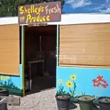 Shelley's Fresh Produce & Cut Flowers photo