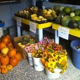 Shelley's Fresh Produce & Cut Flowers photo