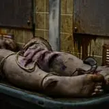 All Saints Lunatic Asylum - Haunted Attraction photo