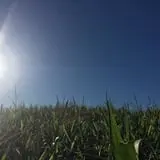 Stewart Farms photo